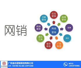 海珠區(qū)企業(yè)畫(huà)冊(cè)設(shè)計(jì)專家——凌志營(yíng)銷策劃，信息系統(tǒng)集成服務(wù)優(yōu)質(zhì)商家